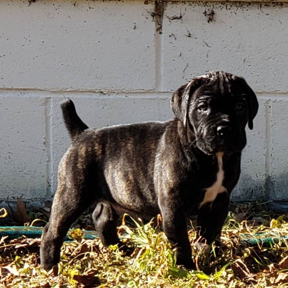 Meet your Posher, Reese